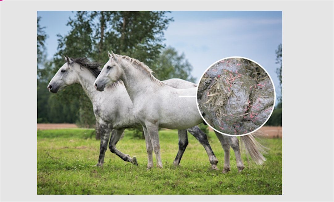 WORMIMG 101 - Best practice parasite control for horses., 19 October | Event in Bunyip | AllEvents