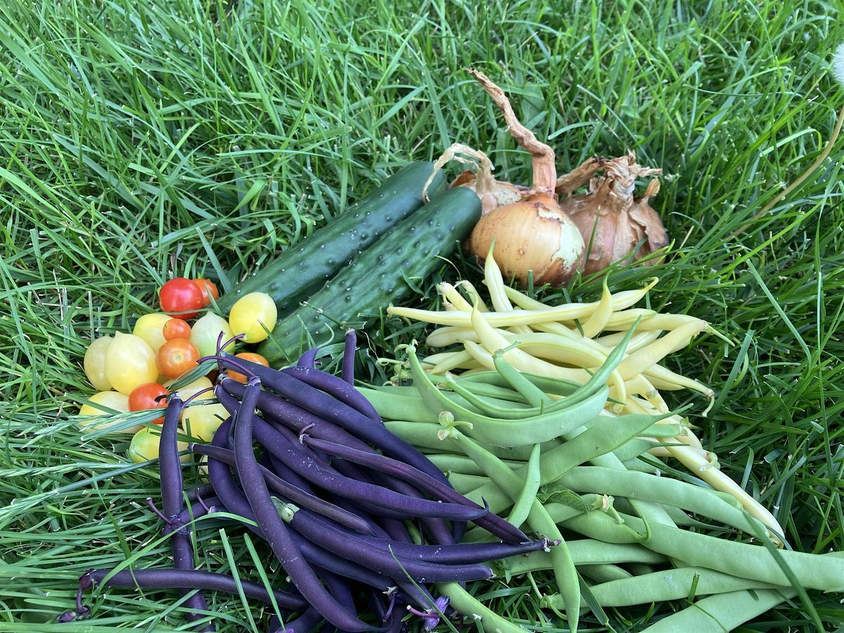 2025 Front Range Vegetable Gardening 101, 17 May | Event in Brighton | AllEvents