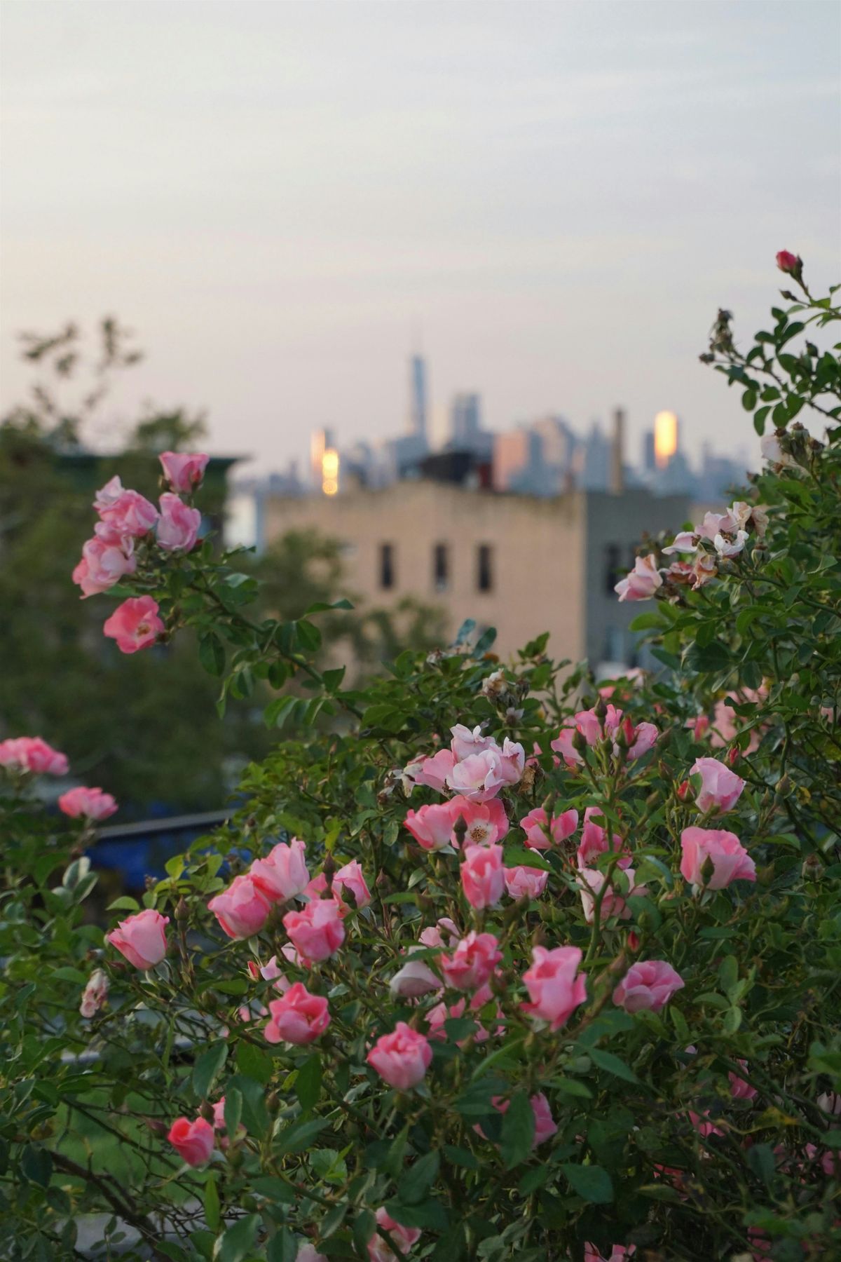 THE ROSEWOOD SESSIONS: with Tenzin Lama and Kendra Danowski | Event in Queens | AllEvents