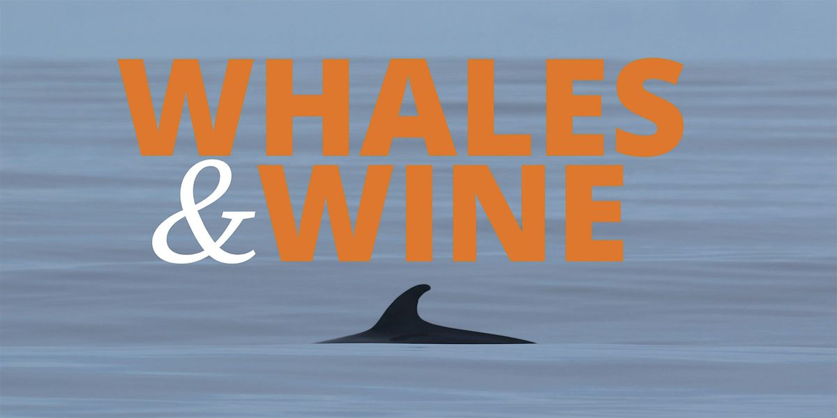 WHALES & WINE: Protecting Whales in Scotland, 23 October | Event in Tobermory | AllEvents