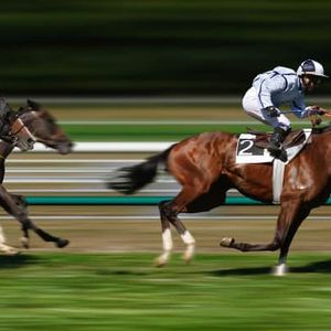 Grand National 2027 - Ladies Day Tickets
