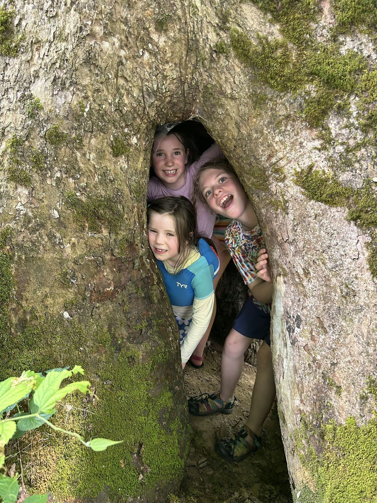 Margaret Creek Watershed Summer Camp, 16 June | Event in Athens | AllEvents