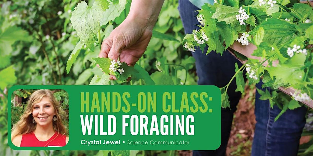 HANDS-ON CLASS - Wild Foraging, 28 May | Event in Ames | AllEvents