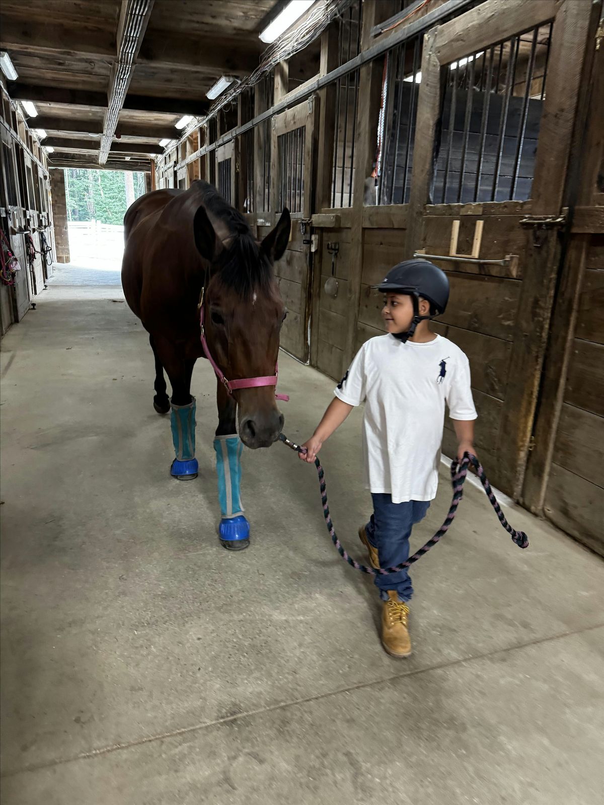 August Pony Playgroup - Sundays (Ages 5 - 8), 24 August | Event in Bridgewater | AllEvents
