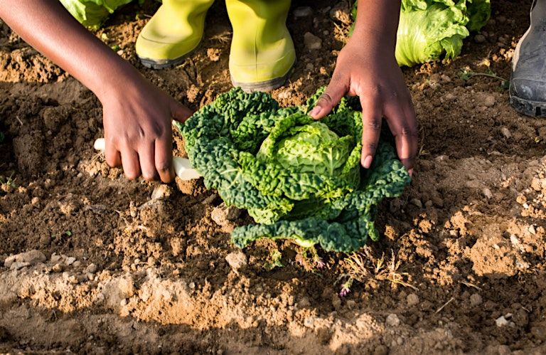 Cheyenne Arapaho Kids' Gardening Club  6/15/2025 from 11:00am-12:00pm, 15 June | Event in Denver | AllEvents