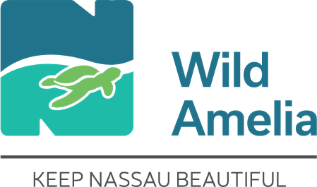Wild Amelia Photography Festival 2026, 6 February | Event in American Beach | AllEvents