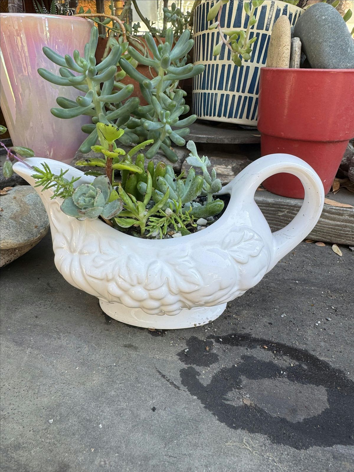 Gravy Boat Succulent Workshop, 12 October | Event in Clarksburg | AllEvents