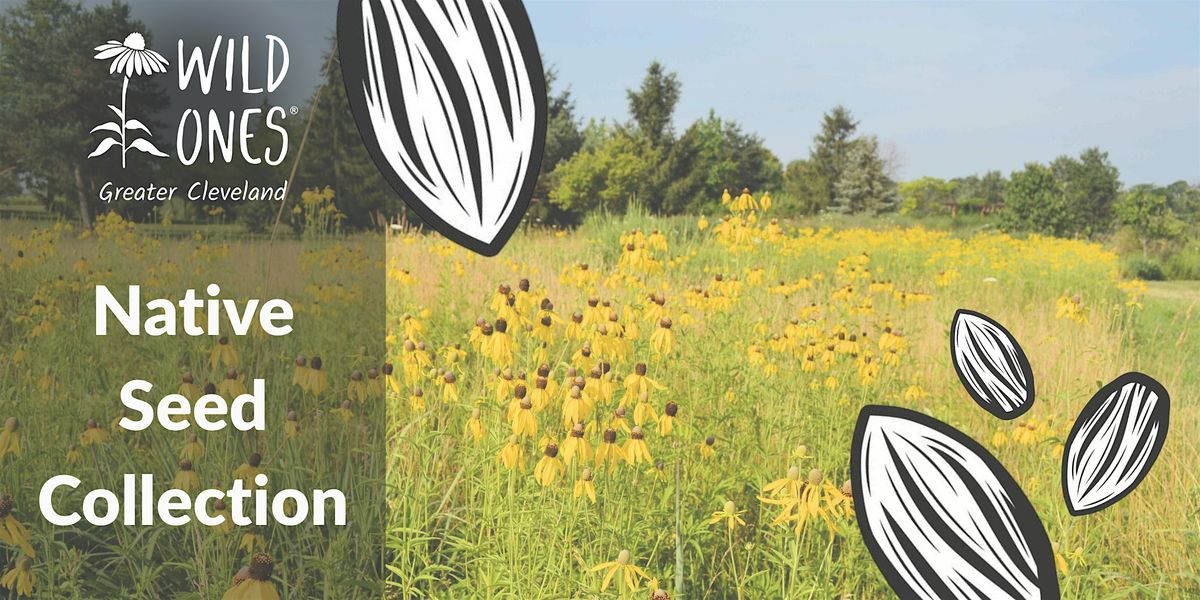 Fall Seed Collection at BGSU Firelands Prairie (Huron), 13 September | Event in Huron | AllEvents