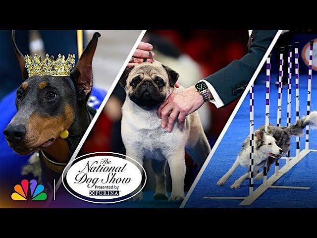 National Dog Show Bus Trip, 15 November | Event in Oaks | AllEvents