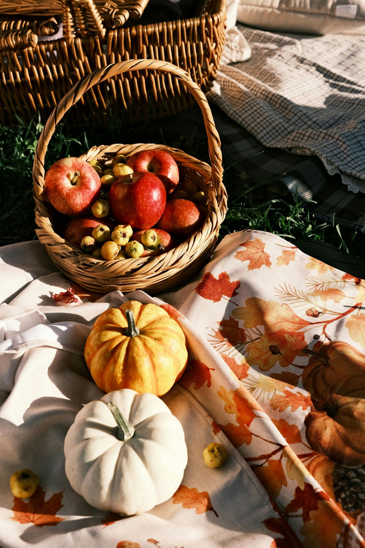 Autumn Bistro Classics : Pumpkin Chicken and Apple Tatin  BYOB, 30 October | Event in Plano | AllEvents