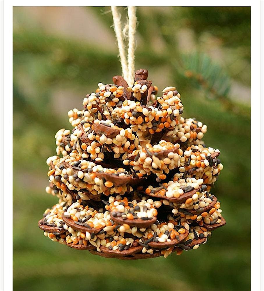 Critter Crafts: Birds & Bird Feeders, 29 December | Event in Perry | AllEvents