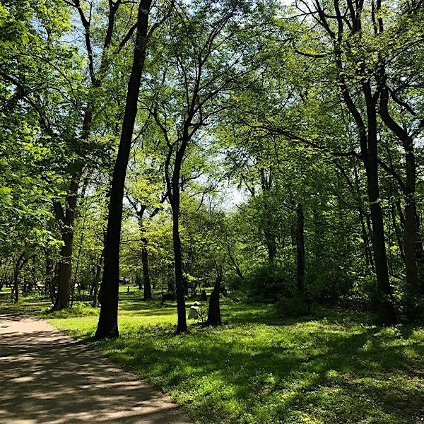 Stories & a Stroll: P.A. Nehring Forest Preserve, 17 July | Event in DeKalb | AllEvents