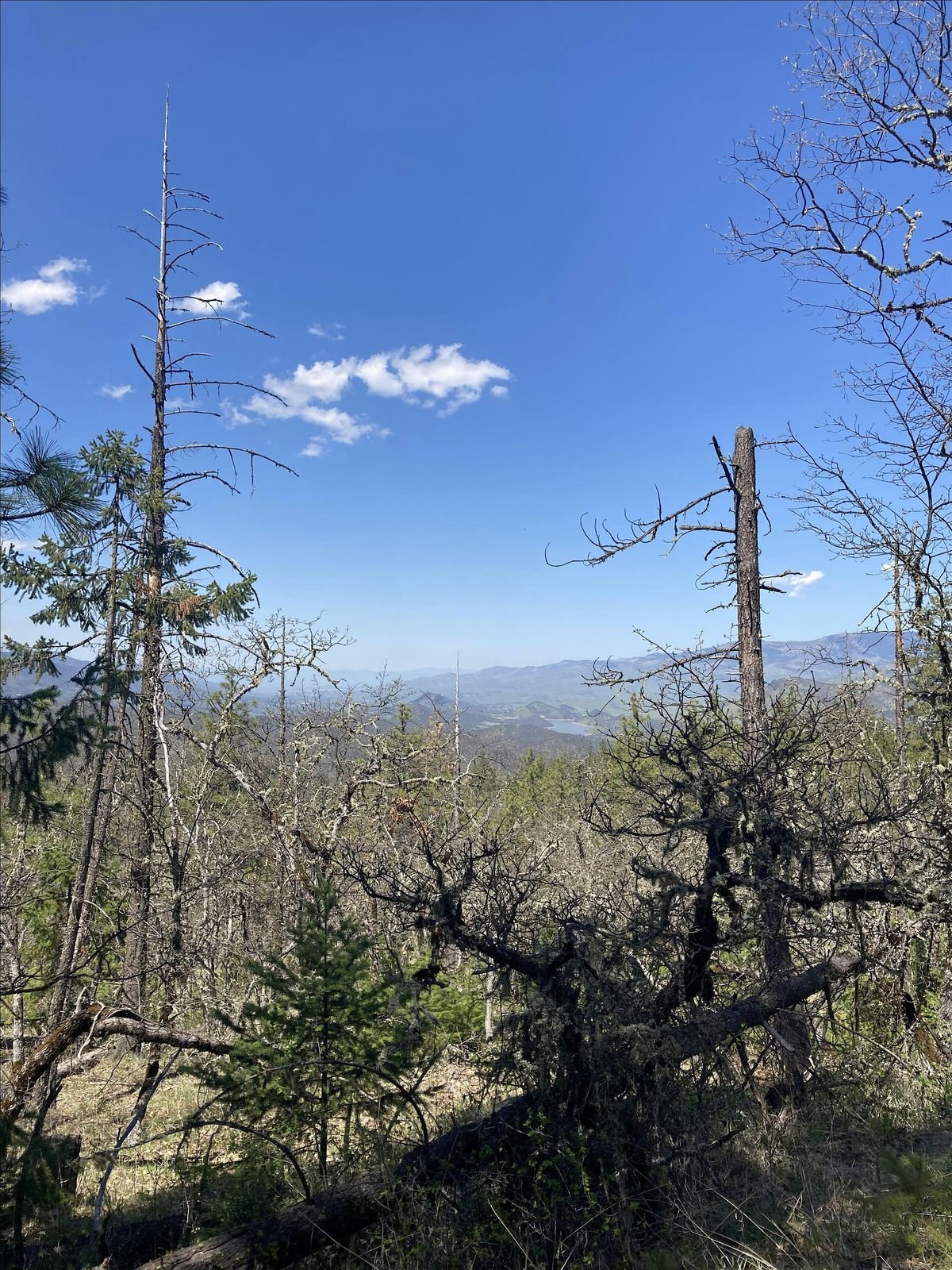 Friday Night Talk - History and Ecology of Fire in the Monument, 10 October | Event in Ashland | AllEvents