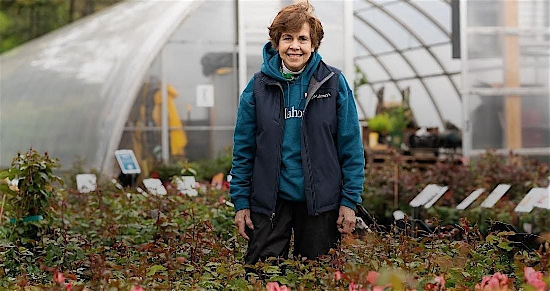 Winterizing Your Roses at Mahoney's Falmouth, 4 October | Event in Winchester | AllEvents