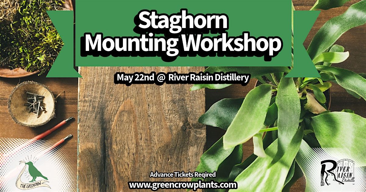 Plants & Pints Workshop: Staghorn Mounting Workshop, 22 May | Event in Manchester | AllEvents
