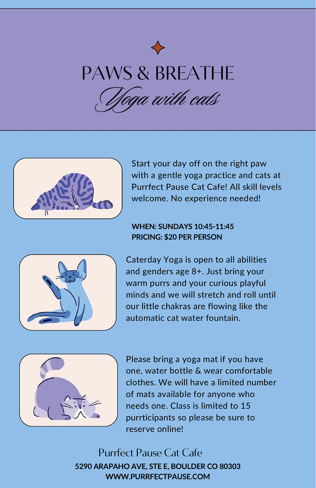 Paws & Breathe Yoga with Cats! | Event in Boulder | AllEvents