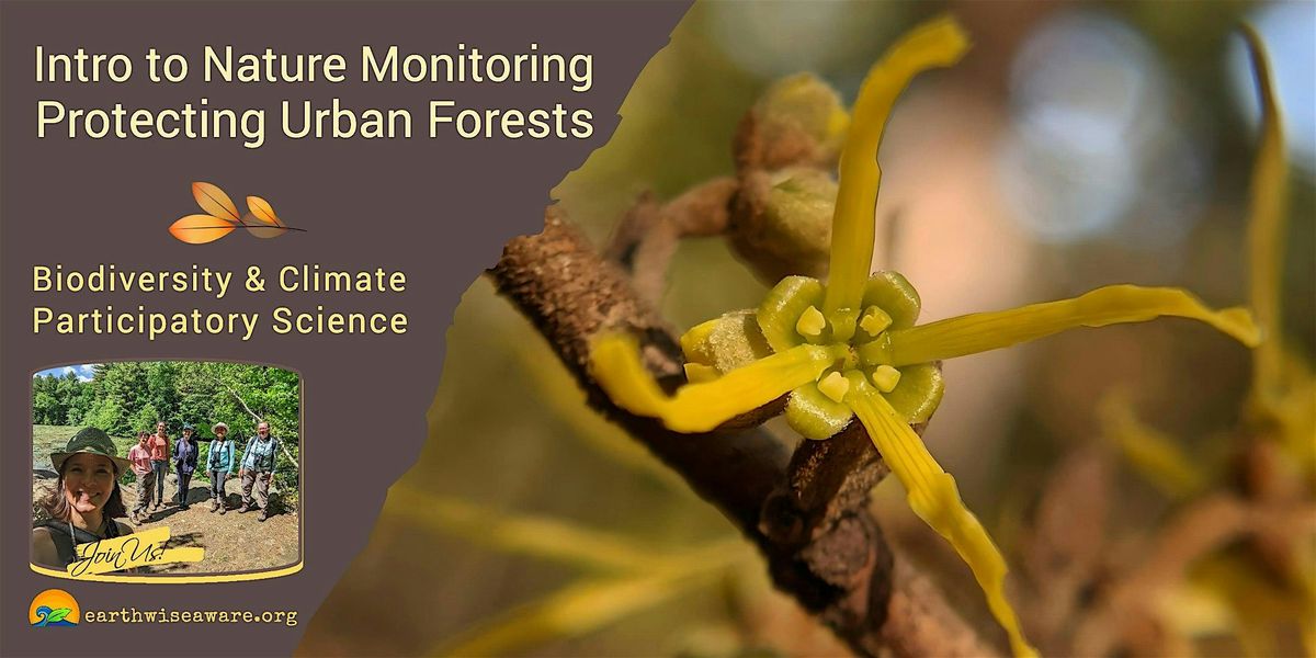 Introduction to Nature Monitoring – Protecting Urban Forests, 8 September | Event in Medford | AllEvents