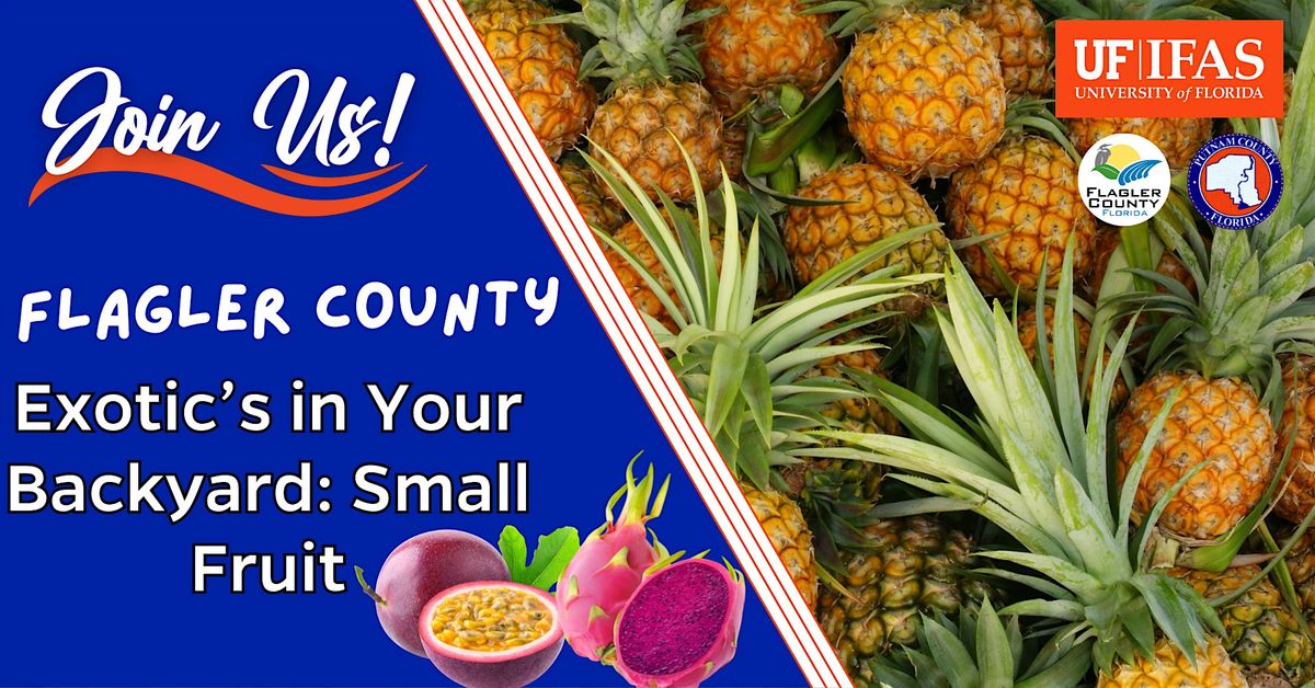 Flagler Exotic's in Your Backyard: Small Fruit, 14 July | Event in Bunnell | AllEvents