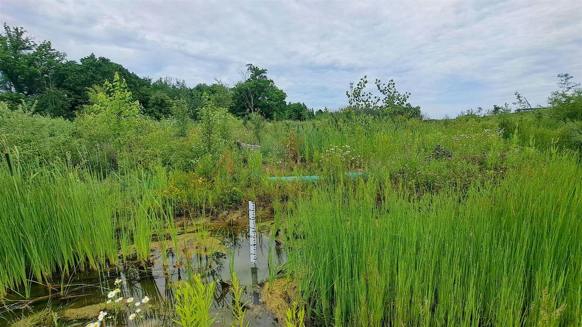 Collaborations in Urban Riparian Restoration & Site Monitoring, 25 September | Event in Milton | AllEvents