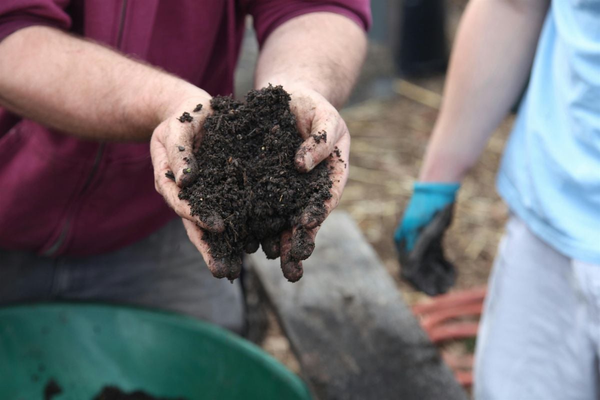 Hot Composting Workshops, 13 September | Event in San Jose | AllEvents