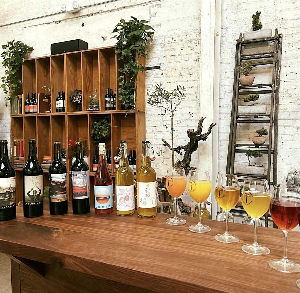 Winery Yin Yoga Stretch & Sip, 1 June | Event in Sacramento | AllEvents