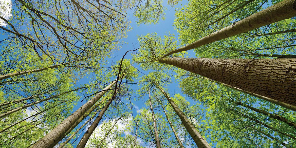 Summit Metro Parks Resident Listening Sessions, 14 May | Event in Akron | AllEvents