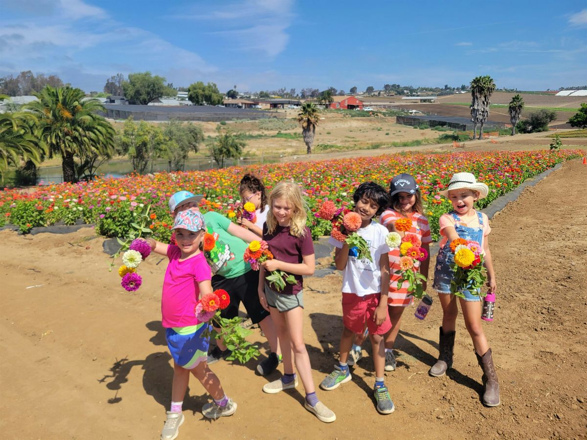 Summer Farm Camp, June 16-20, (9am-3pm), 16 June | Event in Oceanside | AllEvents