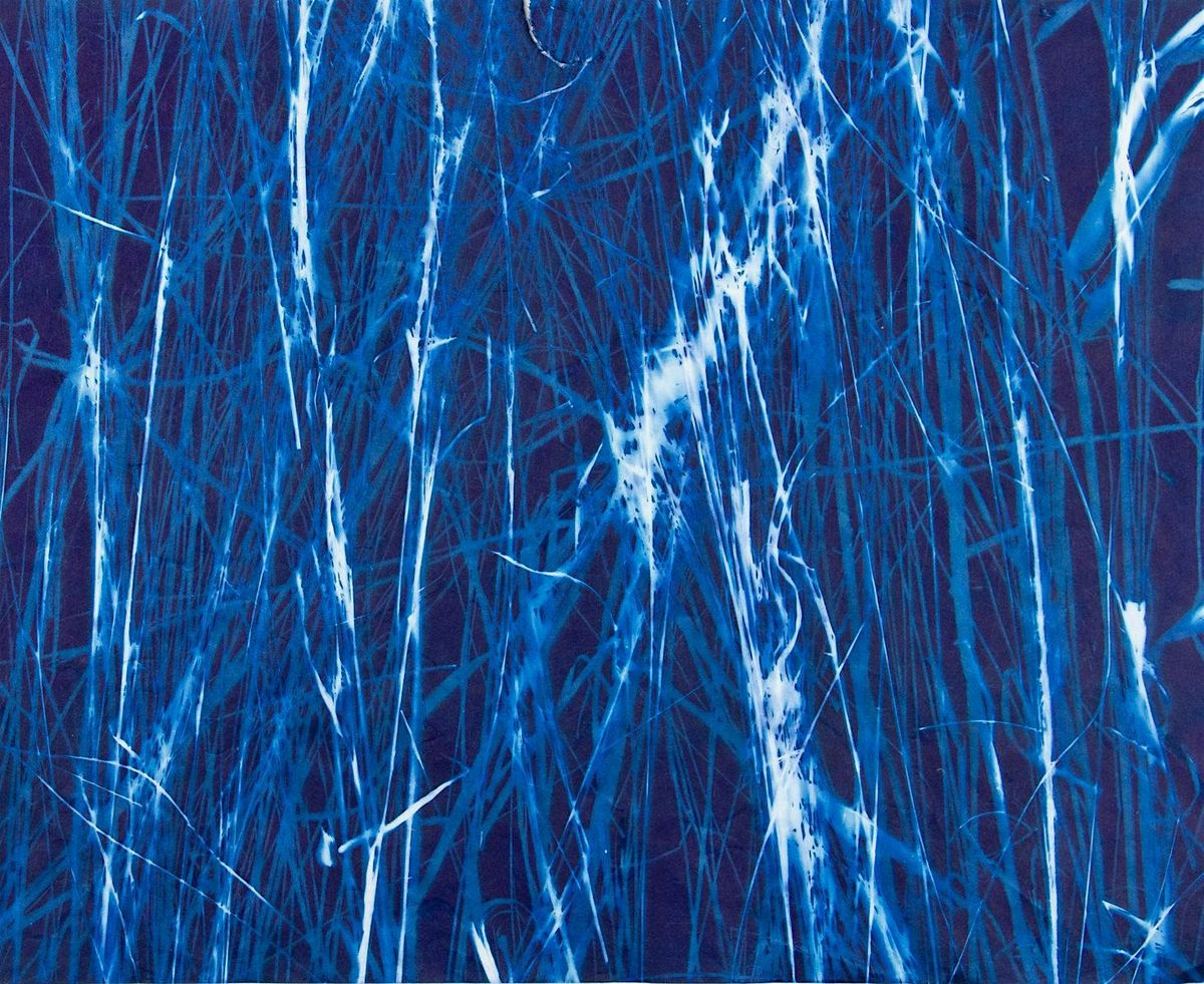 Cyanotypes - Photograms, 6 December | Event in Houston | AllEvents