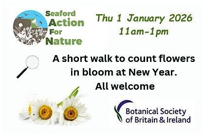 New Year Plant count in Seaford, 1 January | Event in Seaford | AllEvents