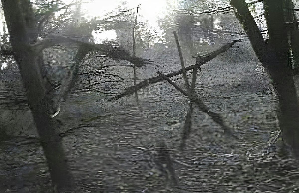 Hiking the Site of the Blair Witch Project, 18 October | Event in Darnestown | AllEvents