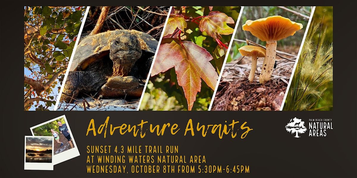 Adventure Awaits Running Wild -  4.3 Mile Trail Run @ Winding Waters, 8 October | Event in West Palm Beach