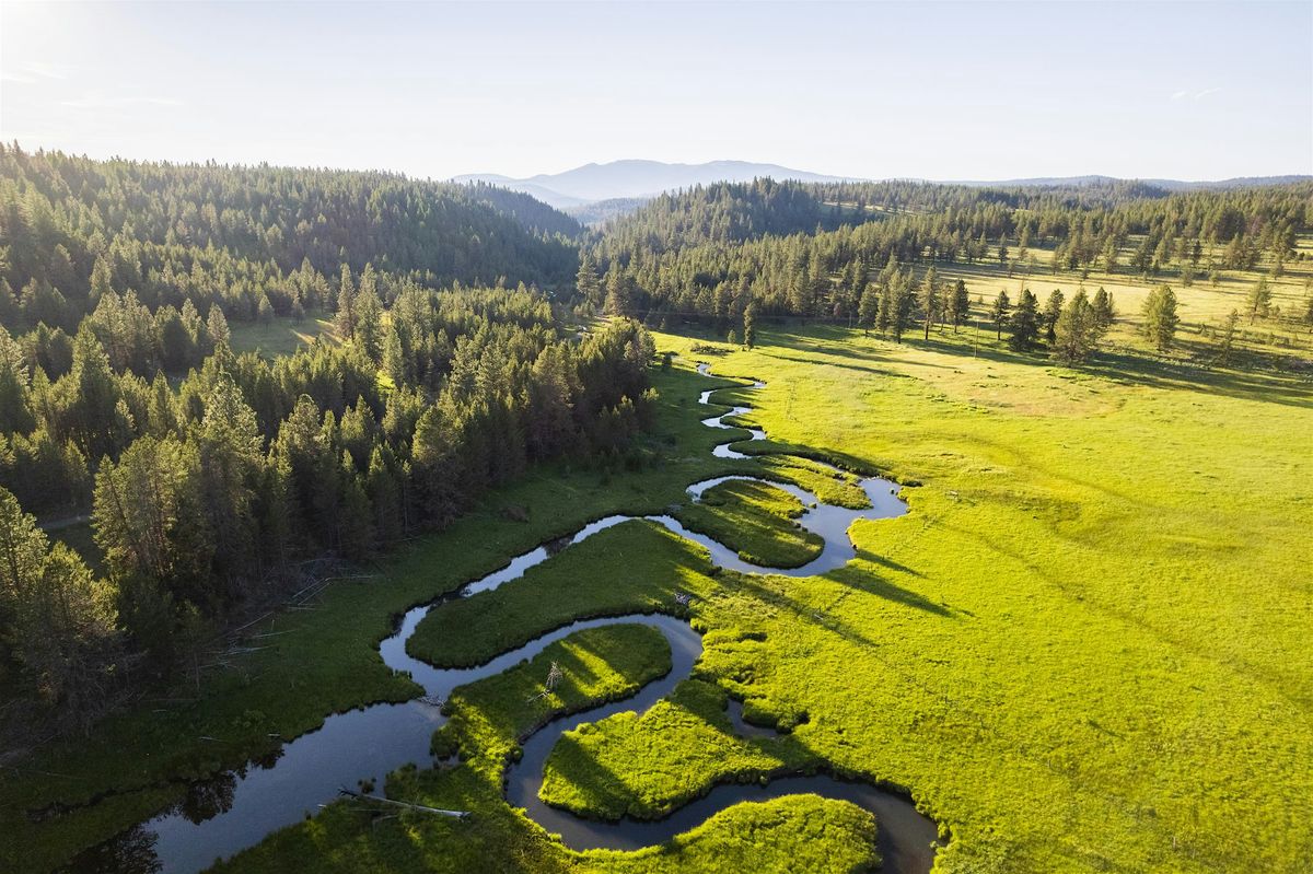 Phipps Meadow Tree Thinning Work Party, 11 July | Event in Walla Walla | AllEvents
