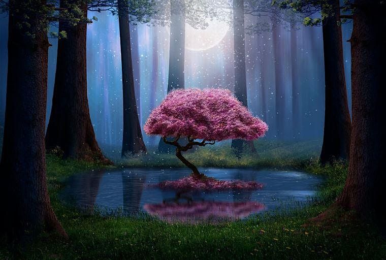Full Worm Moon Flora Crystal Bowl Sound Journey In-Person 3/3/26, 3 March | Event in Salem | AllEvents