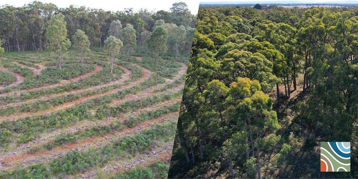 BushBank Walk & Talk: Environmental Restoration in Lindenow South, 31 October | Event in Lindenow South