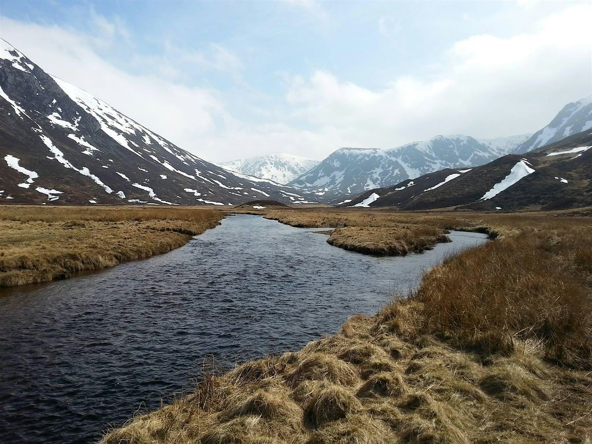 8 Week Mindfulness Course Spring 2026 - Sunday Evenings (Cheltenham), 1 February | Event in Cheltenham | AllEvents