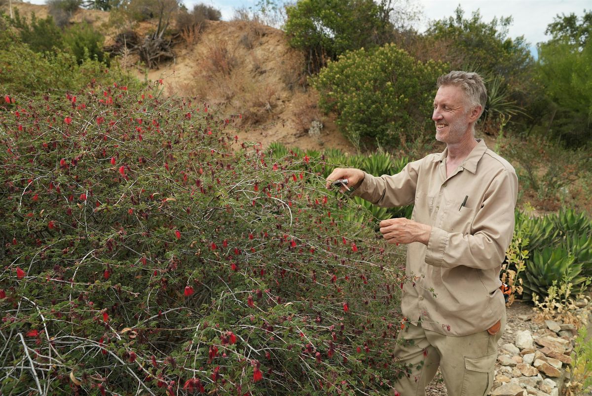 Native Plant Summer Maintenance Basics with Erik Blank, 19 July | Event in Sun Valley | AllEvents
