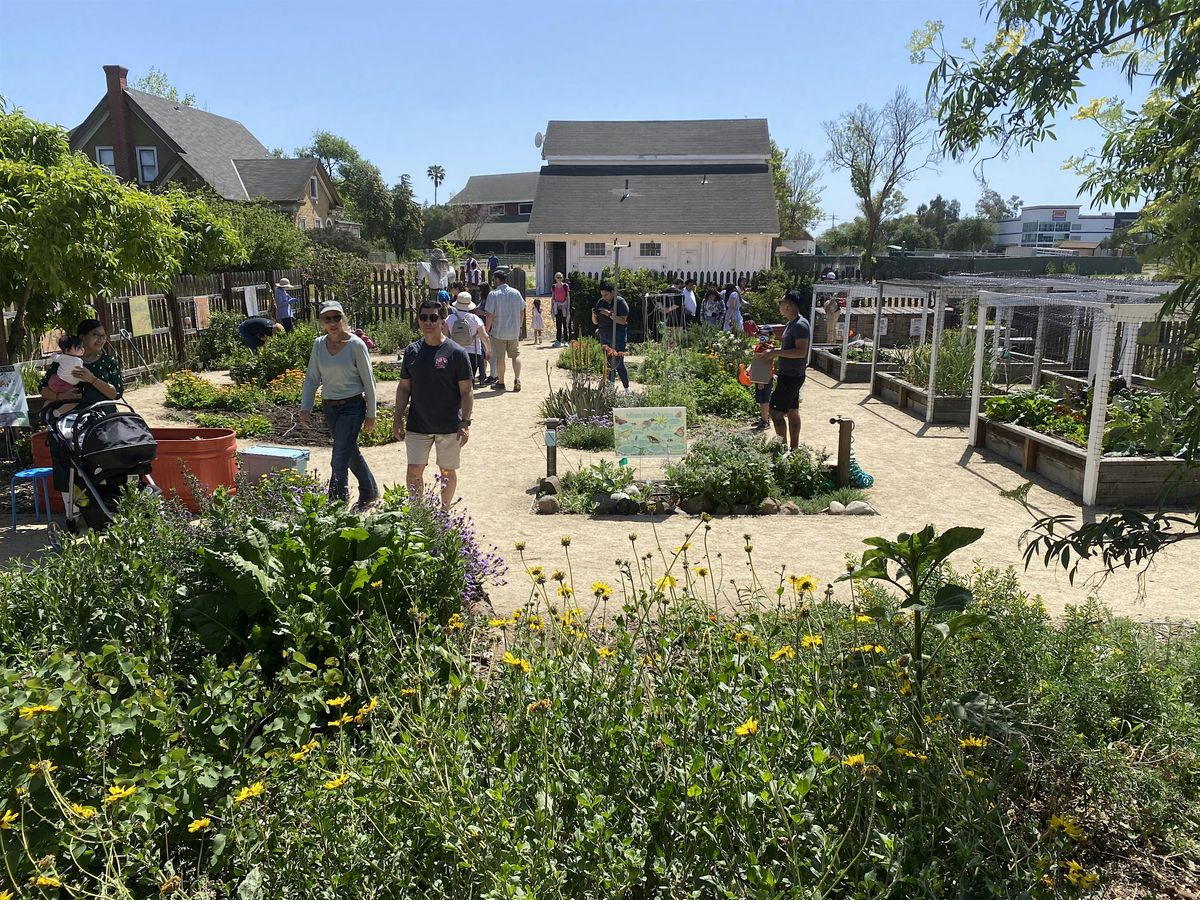 Veggielution Youth Garden prepping for spring! | Event in San Jose | AllEvents