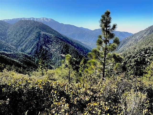 Big Bear National Trails Day, 7 June | Event in Big Bear Lake | AllEvents