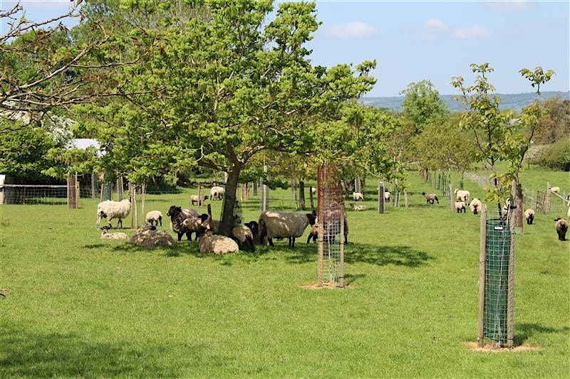 Trees on farms: Welton Farm walk, 27 November | Event in Carlisle | AllEvents
