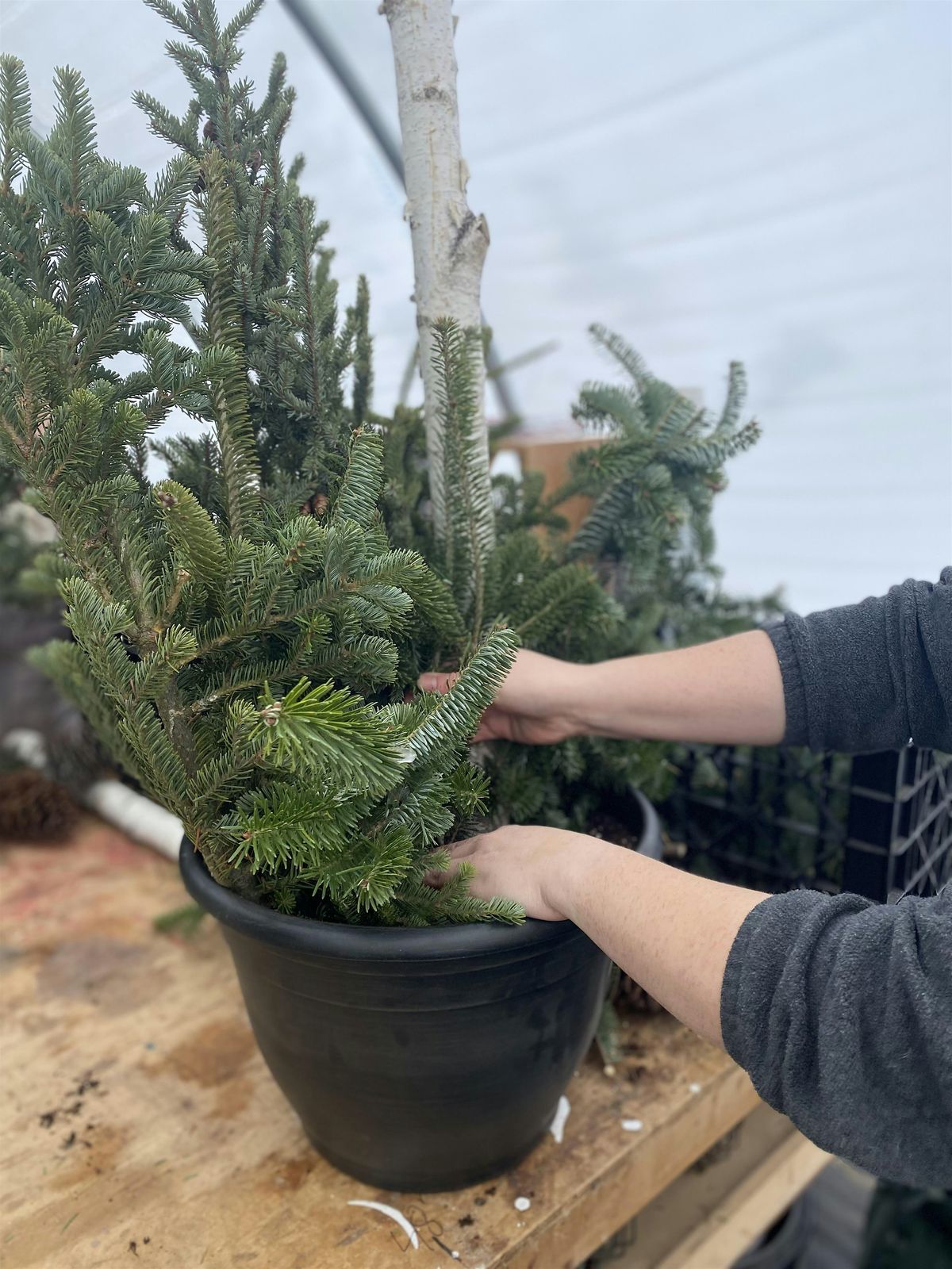 Porch Pot Workshop, 9 November | Event in Eau Claire | AllEvents