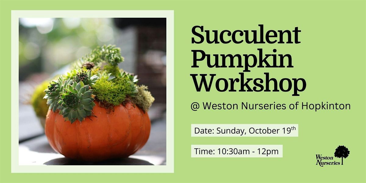 Succulent Pumpkin Workshop, 19 October | Event in Hopkinton | AllEvents