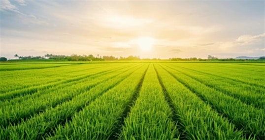 Southern Maryland Farming Collective Meet and Greet, 12 August | Event in Waldorf | AllEvents