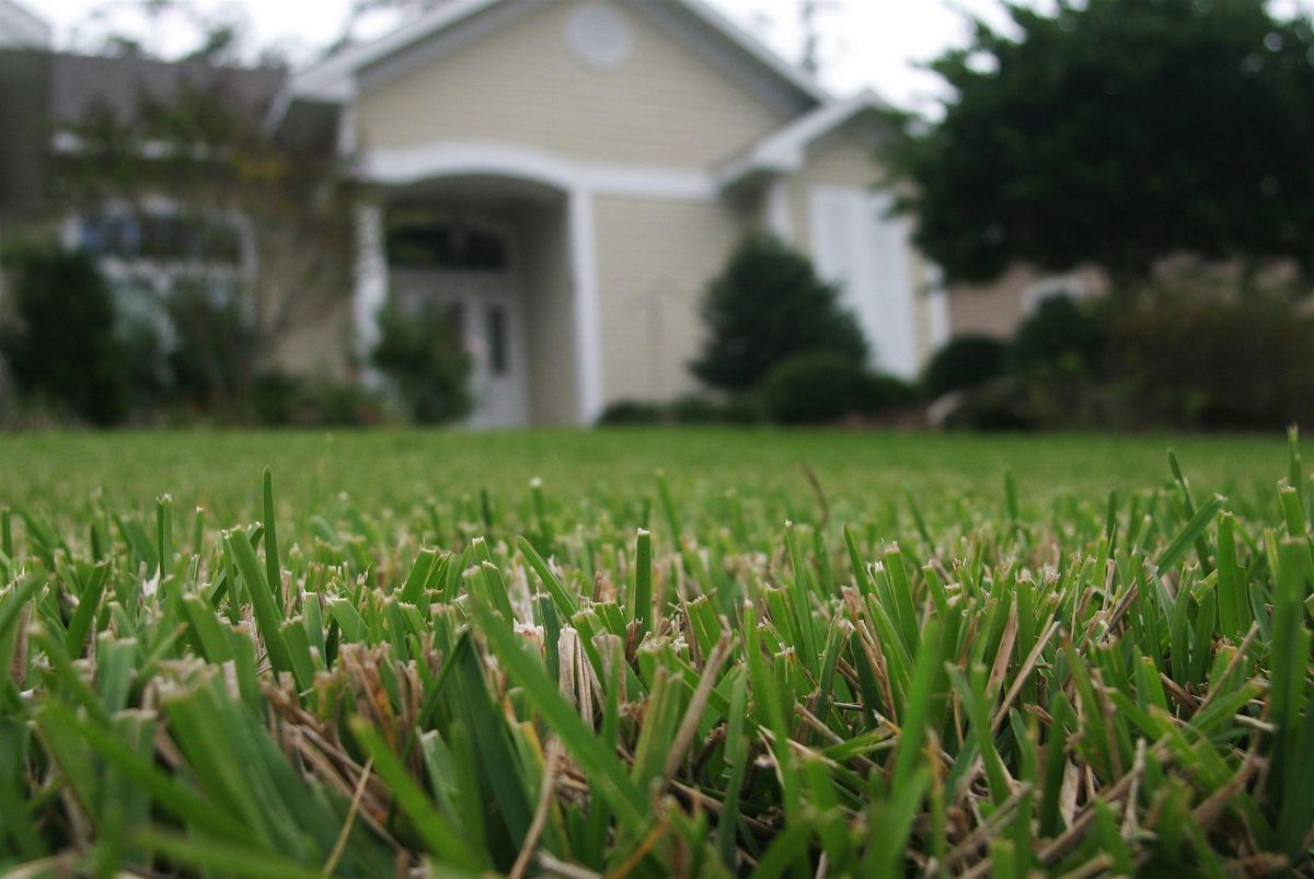 Your Central Florida Lawn (Food & Raffle Prizes), 3 June | Event in Lakeland | AllEvents