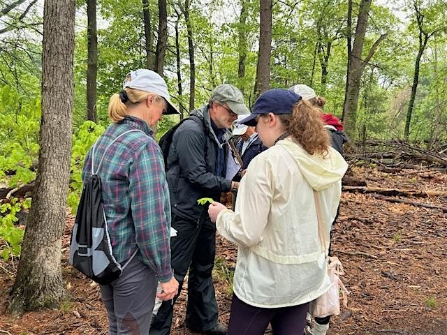 Late Spring Guided Nature Walk at Bellevue Pond | Event in Medford | AllEvents