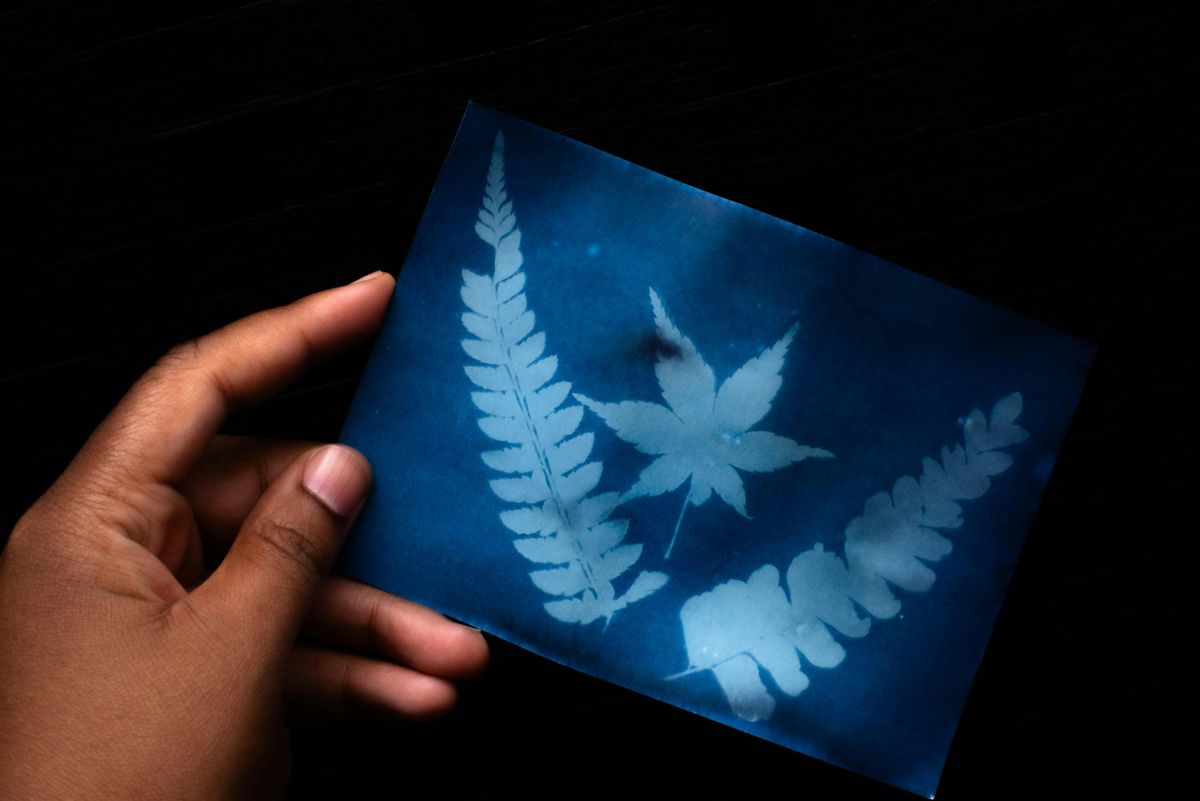 Expressions in Blue: A Cyanotype Workshop, 16 August | Event in New York | AllEvents
