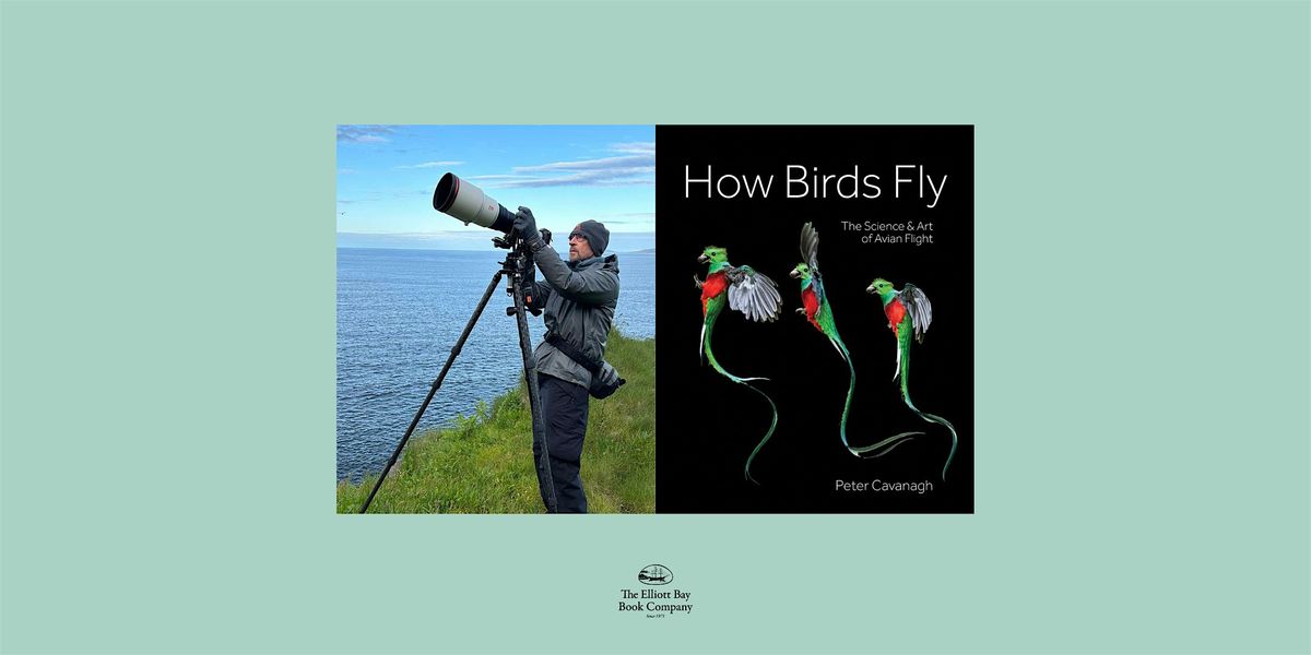 Peter Cavanagh, HOW BIRDS FLY, 22 July | Event in Seattle | AllEvents
