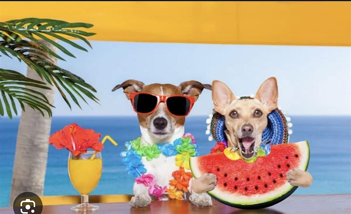 O’Donovan’s BADDIES SUMMER BASH Pub Crawl | Event in Pomona | AllEvents