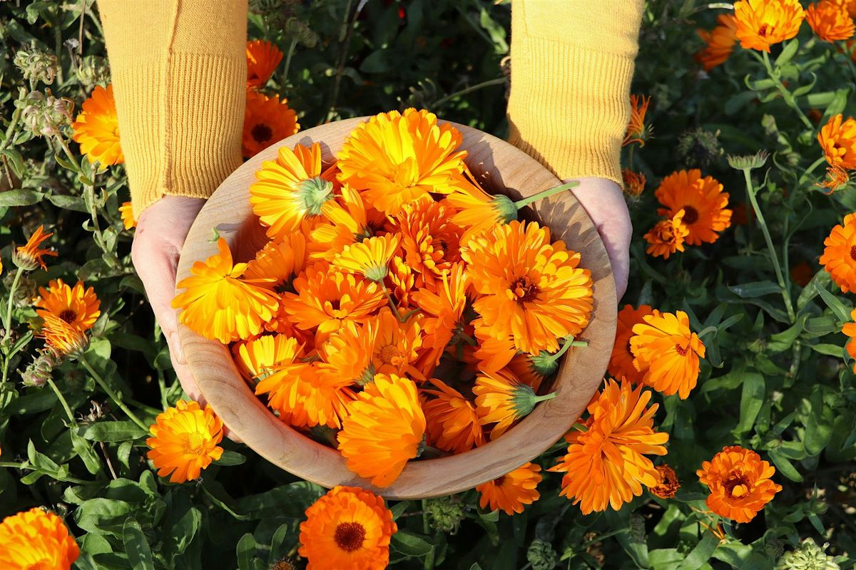 Calendula - Our Backyard Beauty, 29 August | Event in Ashland | AllEvents