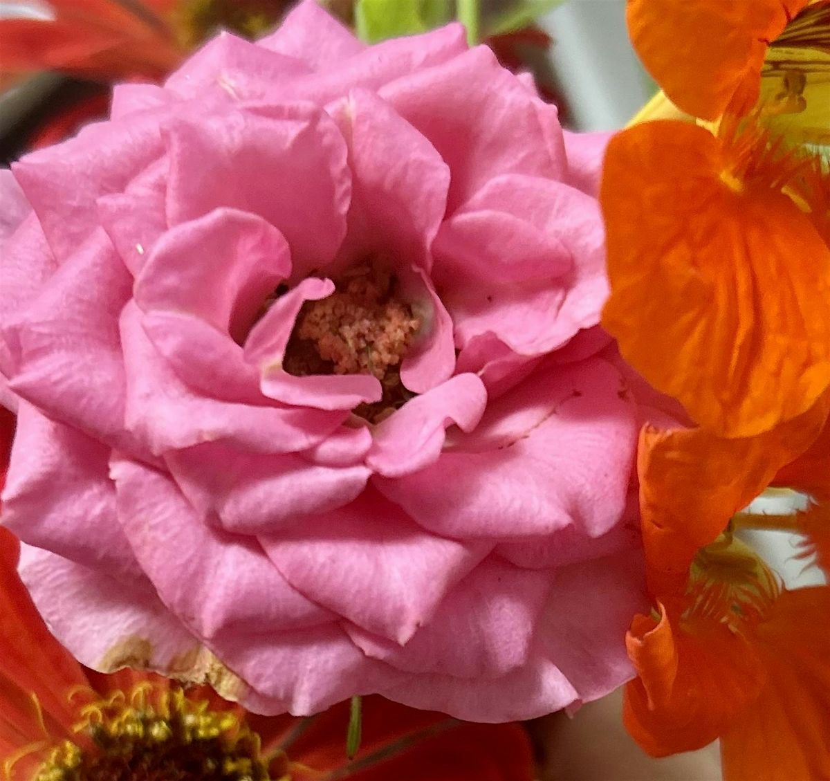 Opening the Heart for Renewal: A Joy, Movement & Herbal Workshop, 21 November | Event in Frederick | AllEvents