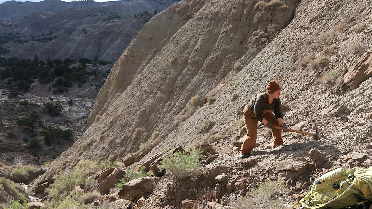 Unearthing Ancient Colorado: How Fossils Reveal Colorado's Wild Past, 8 November | Event in Aurora | AllEvents
